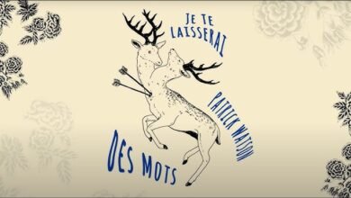 Je te laisserai des mots